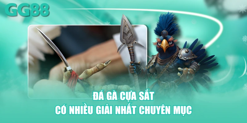 Đá gà cựa sắt có nhiều giải nhất chuyên mục