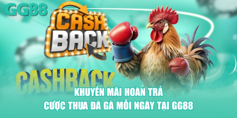Khuyến mãi hoàn trả cược thua đá gà mỗi ngày tại GG88