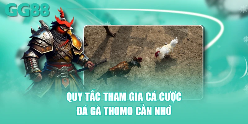 Quy tắc tham gia cá cược đá gà Thomo cần nhớ