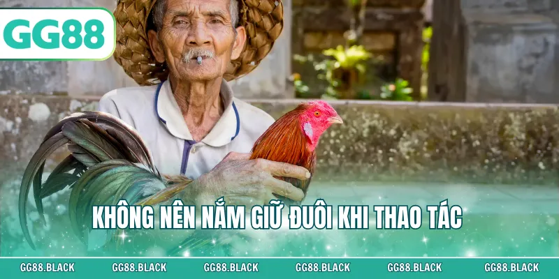 Không nên nắm giữ đuôi khi thao tác